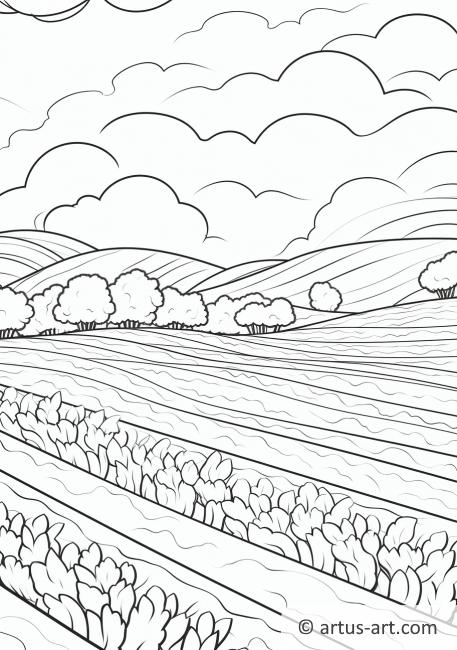 Carrot Field Coloring Page
